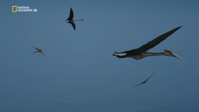 世界十大巨兽排行榜（地球10大远古巨兽介绍）