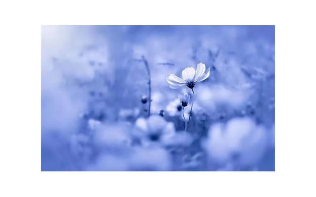 拉黑是什么意思？处女座拉黑一个人只有一个原因！