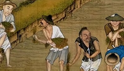 ​什么是“摊丁入亩”？雍正到底分摊了什么，让士绅们集体跳脚