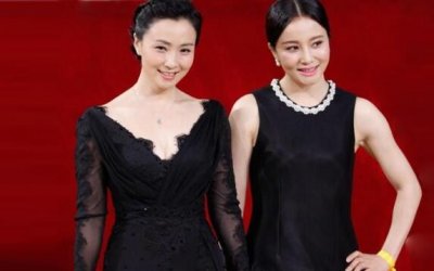 ​陶红和小陶虹什么关系