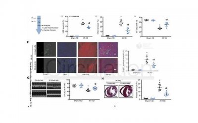 ​遇到家暴，要离婚，财产如何分配