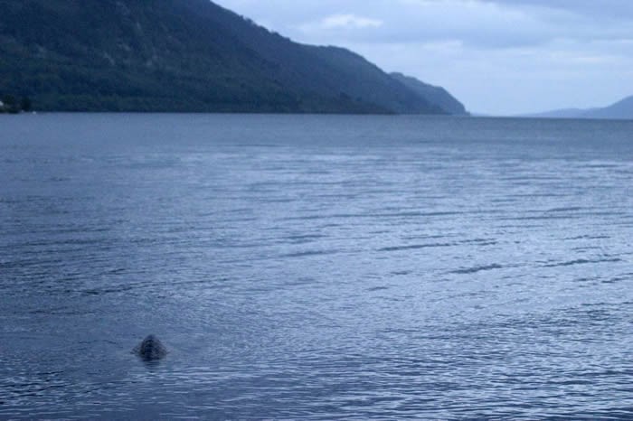 尼斯湖水怪是真的?新西兰奥塔哥大学研究团队:某种理论或成立