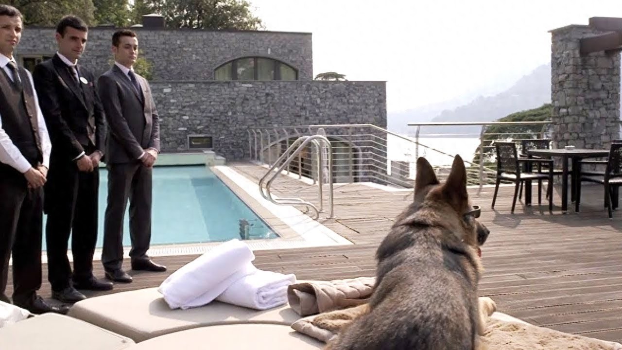 世界上最豪华的5个狗屋，最贵的造价750万美元