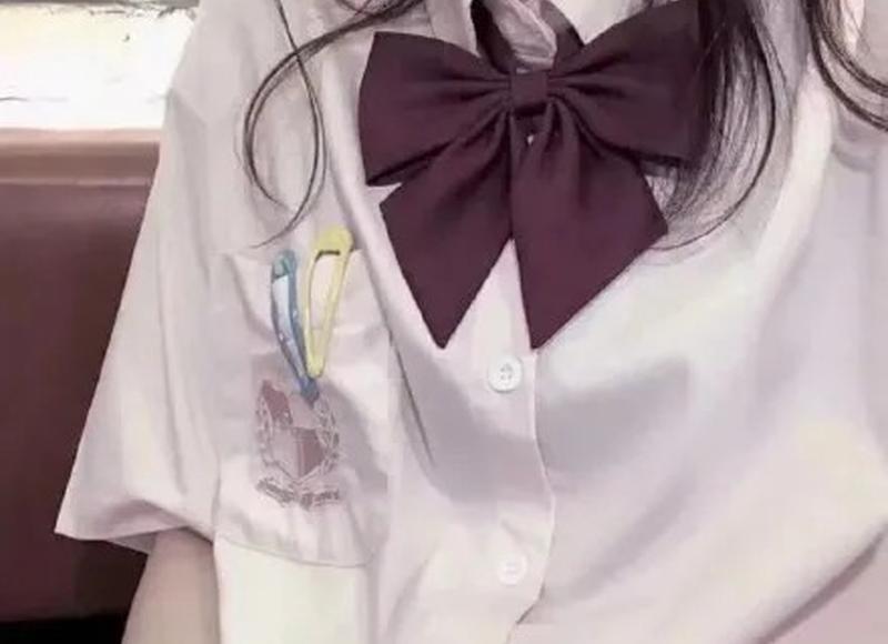 赵丽颖和陈晓（赵丽颖和陈晓过往情深片段被曝光）