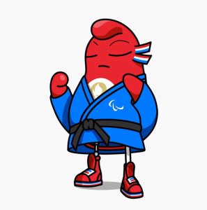 ​盲人柔道，黑暗世界里的搏斗