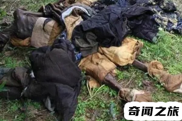 1995年成都僵尸事件（一家人都发病并且看见人就咬）(1)_