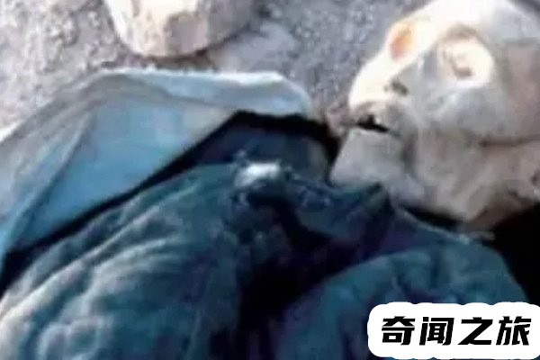 1995年成都僵尸事件（一家人都发病并且看见人就咬）(4)_