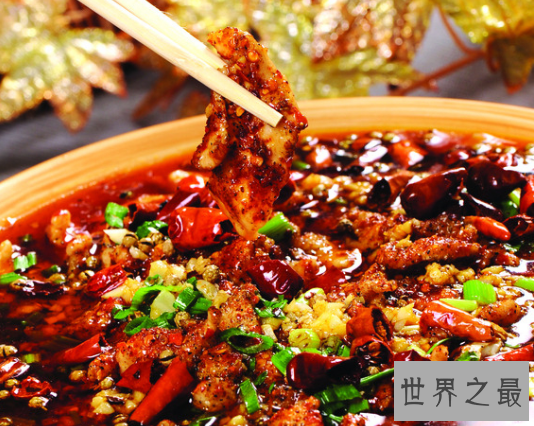 美食王国八大菜系,每一种都让人口水流不停(饿了一定不要看)