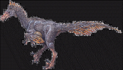 ​本鸟形龙：冷艳了白垩纪时期的恐龙（匪龙科目部下）