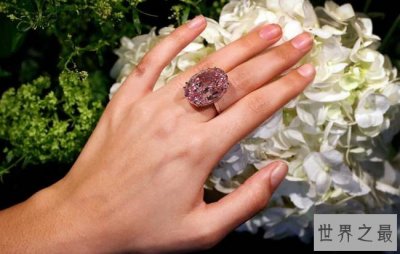 ​世界最贵钻石粉红之星：价值6千万美元（重59.60克拉）