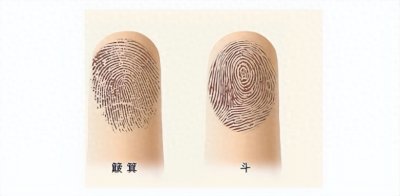 ​中科院新研究：一斗穷、二斗富的真实原因终于浮出水面！