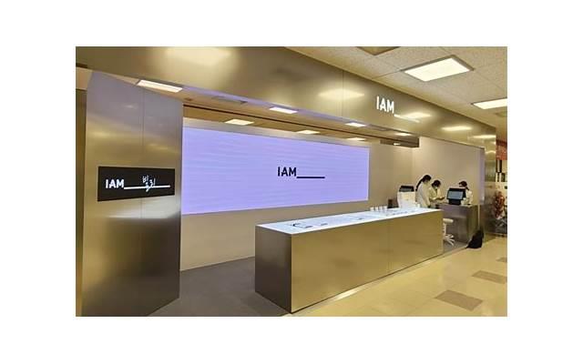 结合个人实际,谈谈你的职业规划800字