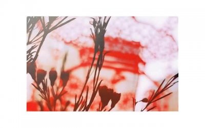 ​图腾是什么意思象征着什么