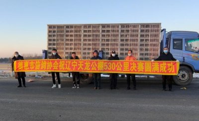 ​2021年中国信鸽公棚鸽王排名赛(秋赛)—辽宁天龙站绝杀关精彩来袭