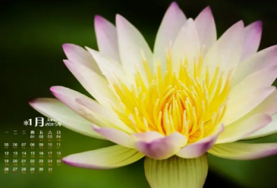 ​生活伤感语句最现实的句子-55句