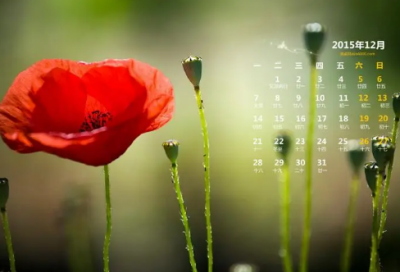 ​销售的朋友圈发的精辟句子优选61句