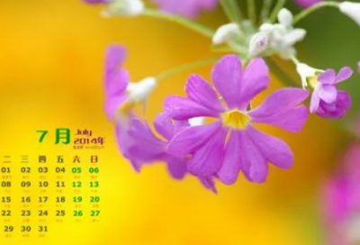 ​用也造句子一年级的精选好句88句