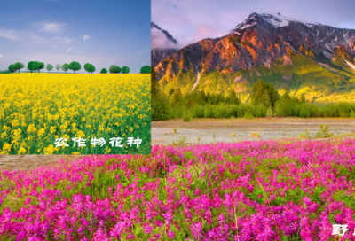​安慰朋友住院的暖心句子精选32句