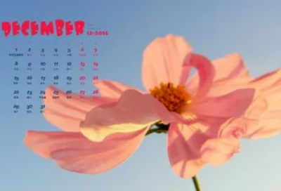 ​焦急地造句子二年级